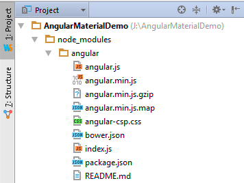 install angularjs npm